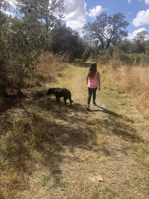 Dog Park at Sunset Park photo 1